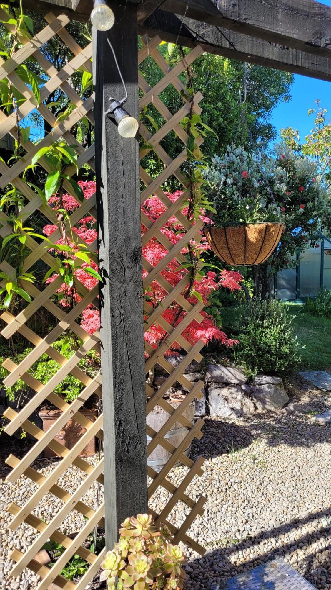 Hazelwood Mapua Bed & Breakfast Exterior photo